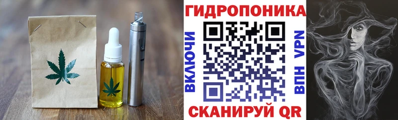 купить наркоту  ссылка на мегу ССЫЛКА  Cannafood конопля  Заинск 