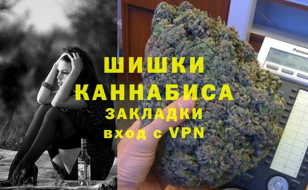 сатива Новочеркасск