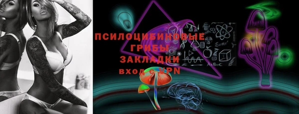 молекула духа Михайловка