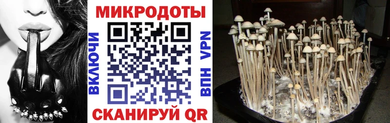 Галлюциногенные грибы мухоморы даркнет сайт Заинск