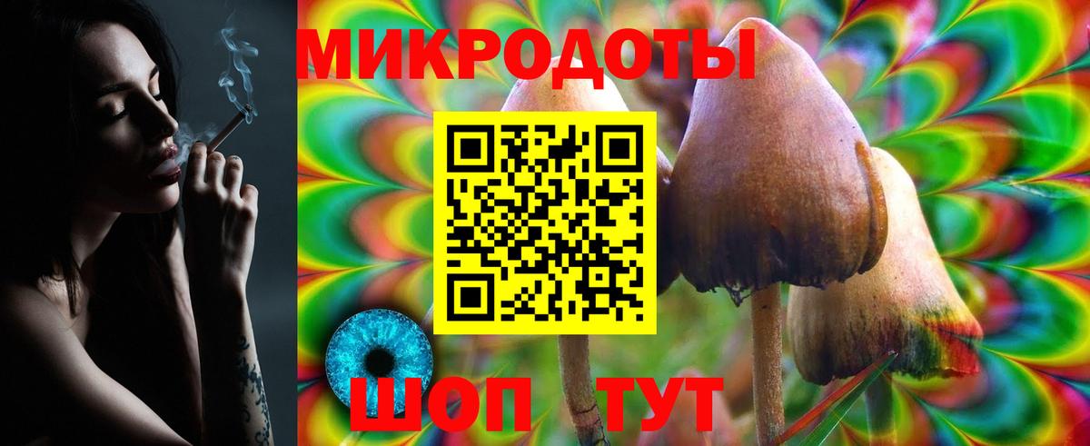 Заинск  Галлюциногенные грибы мицелий  Вход с VPN 
