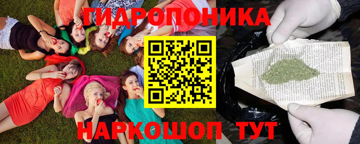 Шишки марихуана OG Kush Заинск